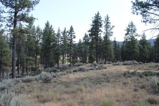 , 30 Butterfly Peak rd, Mountain Center, CA 92561 - 20