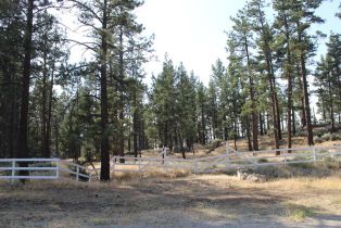 , 30 Butterfly Peak rd, Mountain Center, CA 92561 - 3