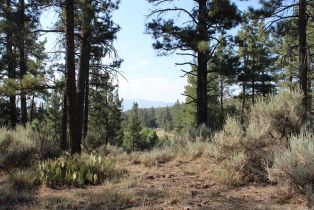 , 30 Butterfly Peak rd, Mountain Center, CA 92561 - 4