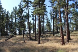 , 30 Butterfly Peak rd, Mountain Center, CA 92561 - 5