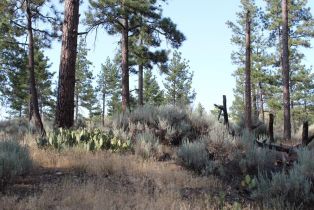 , 30 Butterfly Peak rd, Mountain Center, CA 92561 - 6