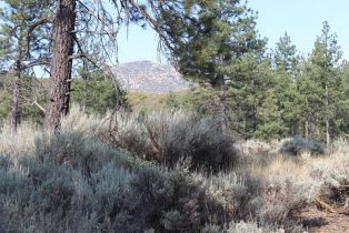 , 30 Butterfly Peak rd, Mountain Center, CA 92561 - 8