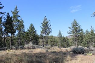 , 30 Butterfly Peak rd, Mountain Center, CA 92561 - 9