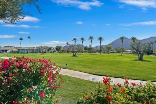 Single Family Residence, 77431 Cheyenne dr, Indian Wells, CA 92210 - 37