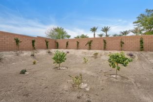 Single Family Residence, 35515 Bains ave, Palm Desert, CA 92211 - 29