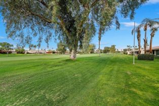 Condominium, 43223 Lacovia dr, Bermuda Dunes, CA 92203 - 33