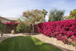 Single Family Residence, 81478 Golden Poppy way, La Quinta, CA 92253 - 39