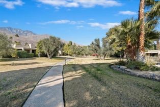 Condominium, 1800 La Paloma, Palm Springs, CA 92264 - 33