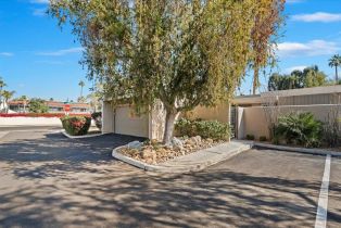 Condominium, 1800 La Paloma, Palm Springs, CA 92264 - 5