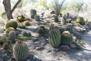 Single Family Residence, 40848 Schafer pl, Palm Desert, CA 92211 - 87