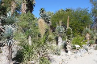 Single Family Residence, 40848 Schafer pl, Palm Desert, CA 92211 - 98