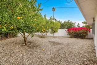 Single Family Residence, 223 Jill cir, Palm Springs, CA 92262 - 34