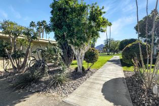 Condominium, 47610 Eisenhower dr, La Quinta, CA 92253 - 15