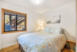 Single Family Residence, 60766 Table Mountain rd, Mountain Center, CA 92561 - 53