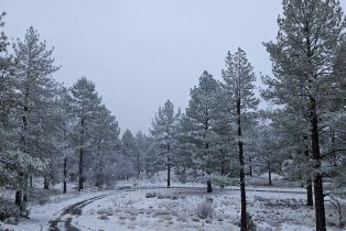 Single Family Residence, 60766 Table Mountain rd, Mountain Center, CA 92561 - 70