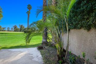 Condominium, 552 Desert West dr, Rancho Mirage, CA 92270 - 37