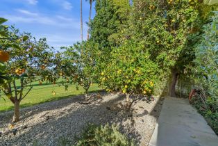 Single Family Residence, 1350 Murray Canyon dr, Palm Springs, CA 92264 - 78