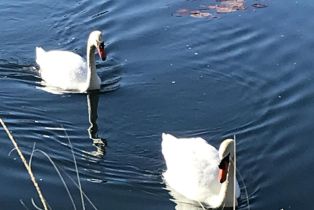 Single Family Residence, 37 Shoreline dr, Rancho Mirage, CA 92270 - 3