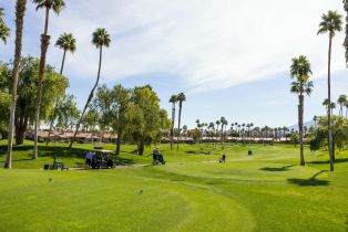Condominium, 38180 Zinnia ln, Palm Desert, CA 92211 - 30