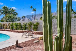 Single Family Residence, 279 Cerritos dr, Palm Springs, CA 92262 - 40