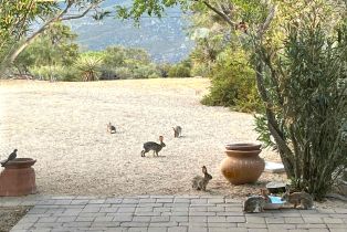 Single Family Residence, 70075 Linda Vista rd, Mountain Center, CA 92561 - 30