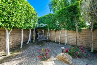 Single Family Residence, 52540 Vino, La Quinta, CA 92253 - 53