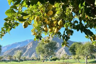 Single Family Residence, 50623 Cereza, La Quinta, CA 92253 - 29