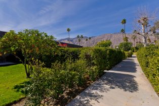 Condominium, 1291 Tiffany cir, Palm Springs, CA 92262 - 8