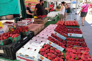 Condominium, 50600 Santa Rosa plz, La Quinta, CA 92253 - 25