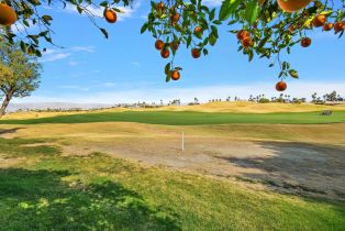 Condominium, 54838 Oak Tree, La Quinta, CA 92253 - 5