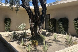 Residential Income, 547 Desert way, Palm Springs, CA 92264 - 2