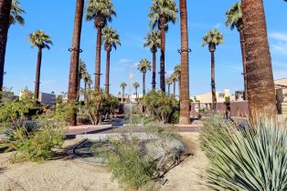 Condominium, 426 Village sq, Palm Springs, CA 92262 - 70