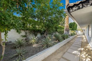 Single Family Residence, 505 Camino Real, Palm Springs, CA 92262 - 63