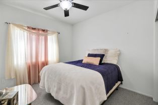 Single Family Residence, 647 Poppy st, Palm Springs, CA 92262 - 25