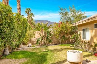 Single Family Residence, 647 Poppy st, Palm Springs, CA 92262 - 35