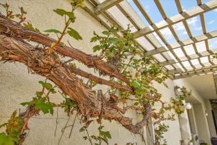 Single Family Residence, 51 Mission Palms dr, Rancho Mirage, CA 92270 - 42