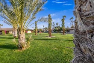 Single Family Residence, 19 Colgate dr, Rancho Mirage, CA 92270 - 79