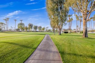 Single Family Residence, 19 Colgate dr, Rancho Mirage, CA 92270 - 87