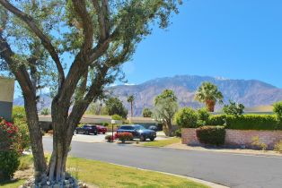 Condominium, 1181 Sunflower ln, Palm Springs, CA 92262 - 17