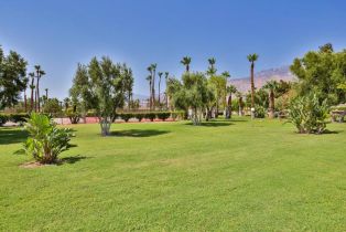 Condominium, 1181 Sunflower ln, Palm Springs, CA 92262 - 27