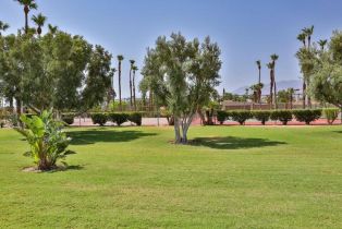 Condominium, 1181 Sunflower ln, Palm Springs, CA 92262 - 28
