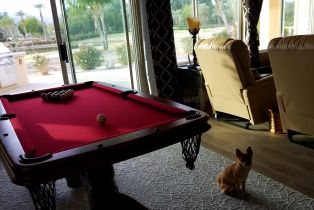 Single Family Residence, 60553 Juniper ln, La Quinta, CA 92253 - 17