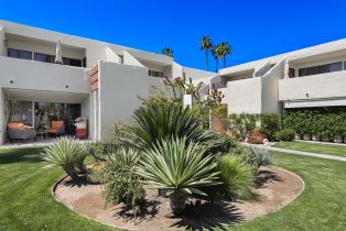 Condominium, 1655 Palm Canyon dr, Palm Springs, CA 92264 - 15