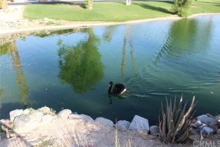 , 74711 Dillon rd, Desert Hot Springs, CA 92241 - 37