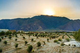 Single Family Residence, 743 Fountain dr, Palm Springs, CA 92262 - 45