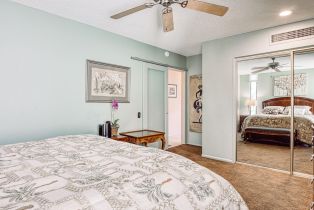Condominium, 1655 Palm Canyon dr, Palm Springs, CA 92264 - 25