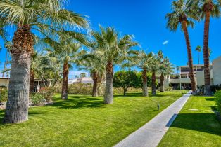 Condominium, 1655 Palm Canyon dr, Palm Springs, CA 92264 - 35