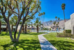 Condominium, 1655 Palm Canyon dr, Palm Springs, CA 92264 - 45