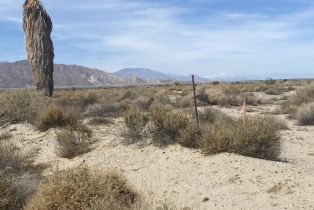 , 1364 Briarwood ave, Thermal, CA 92274 - 3