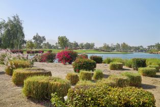 Single Family Residence, 61021 Desert Rose dr, La Quinta, CA 92253 - 2